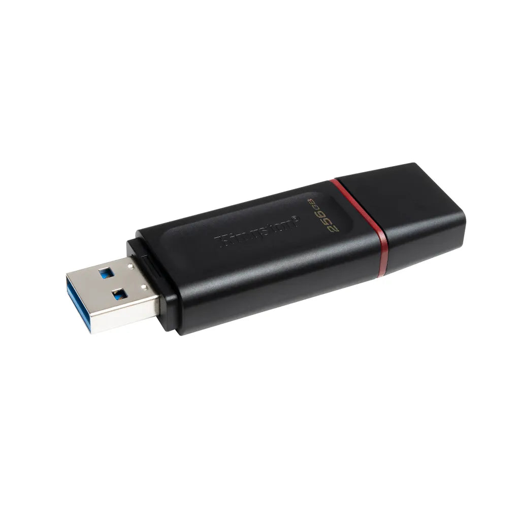 Kingston DataTraveler Exodia USB Flash Drive 256 GB USB Type-A 3.2 Gen 1 - Black