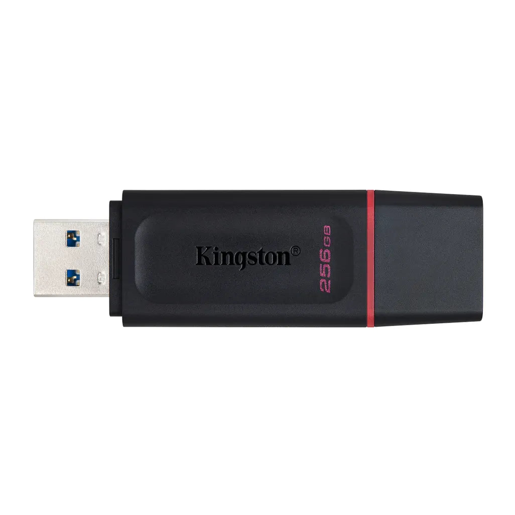 Kingston DataTraveler Exodia USB Flash Drive 256 GB USB Type-A 3.2 Gen 1 - Black