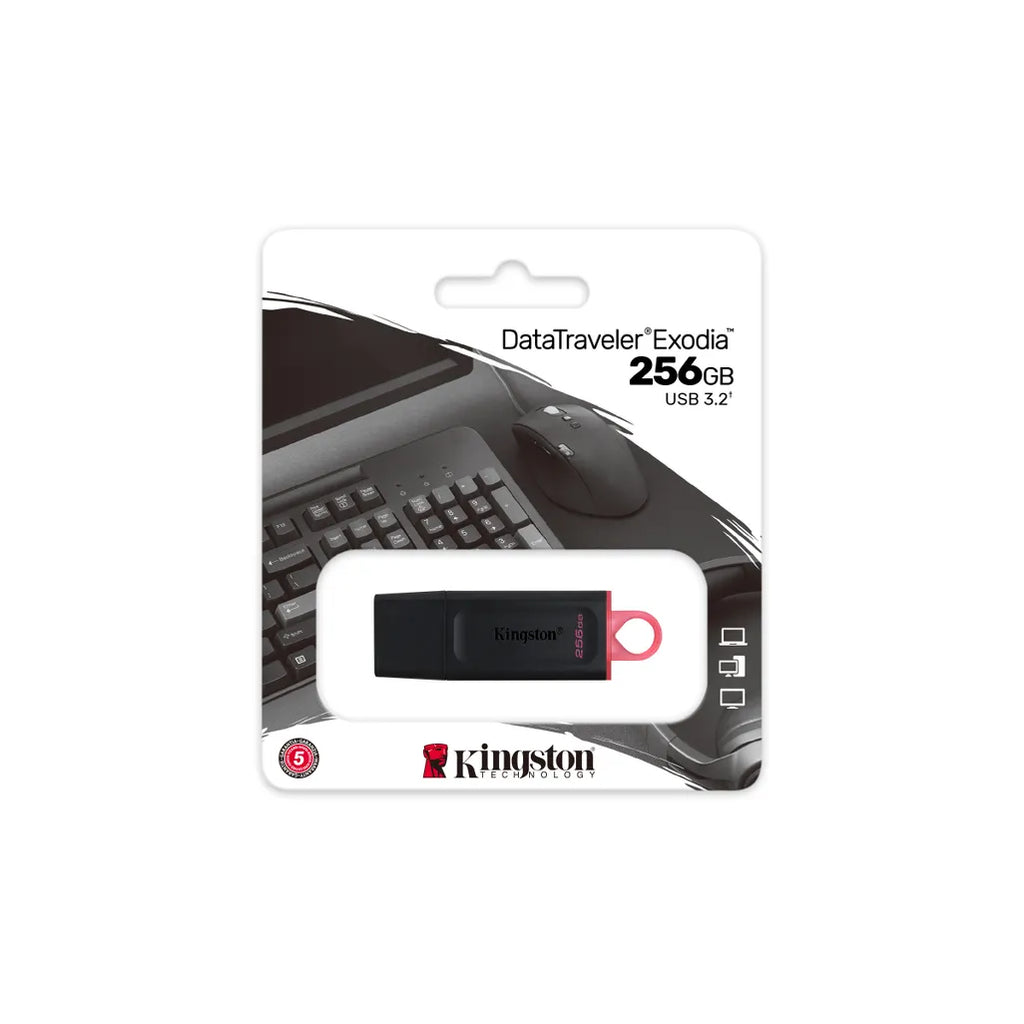Kingston DataTraveler Exodia USB Flash Drive 256 GB USB Type-A 3.2 Gen 1 - Black